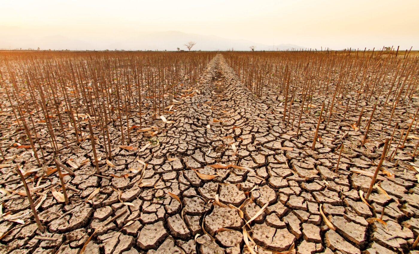 Megadrought in the western U.S. is the worst in at least 1,200 years