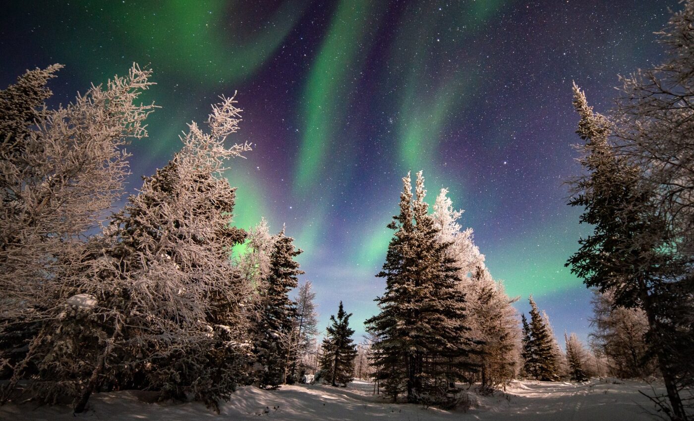 Arctic and boreal ecosystems are becoming increasingly unstable