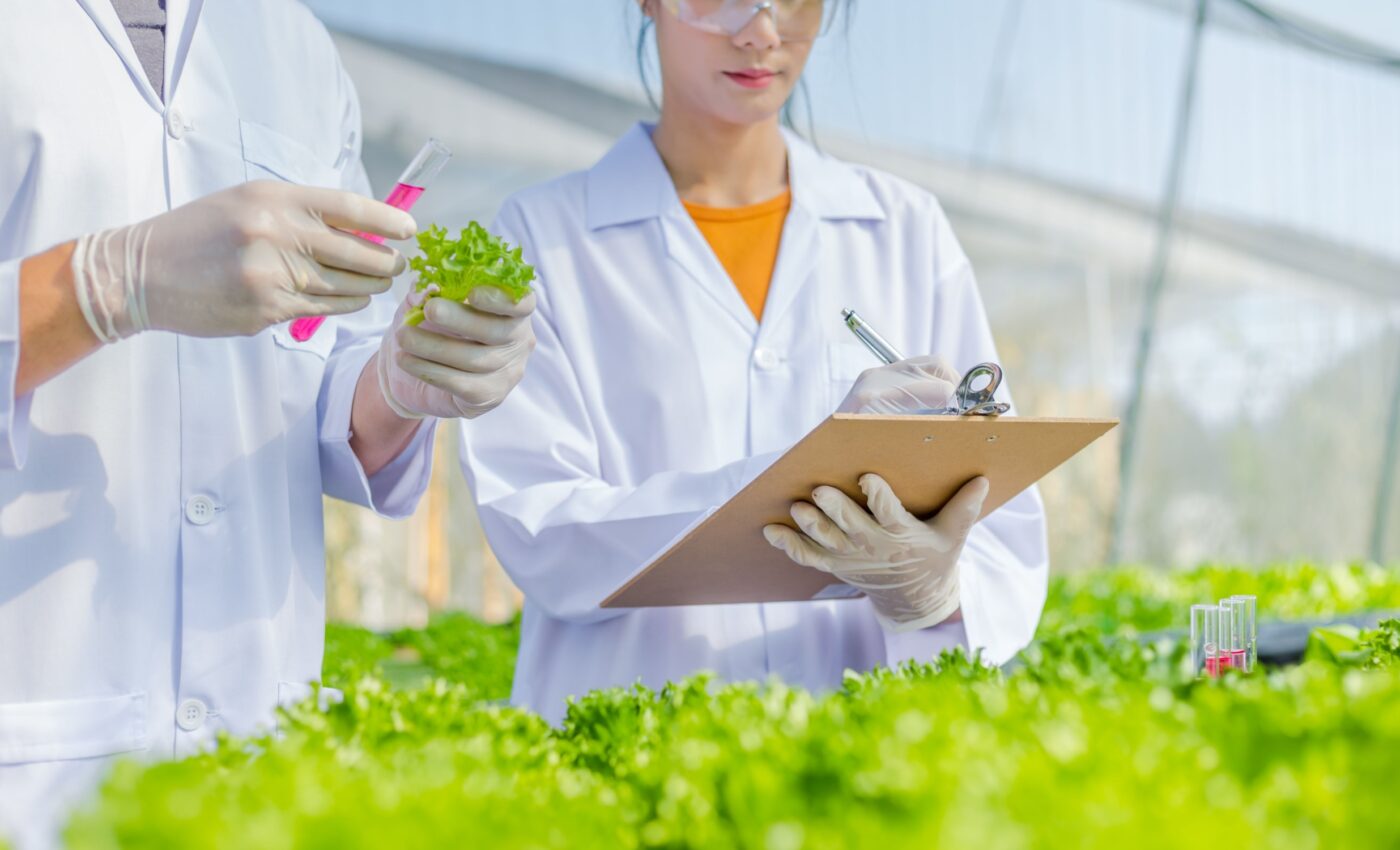 Sensors that detect plant stress could revolutionize farming