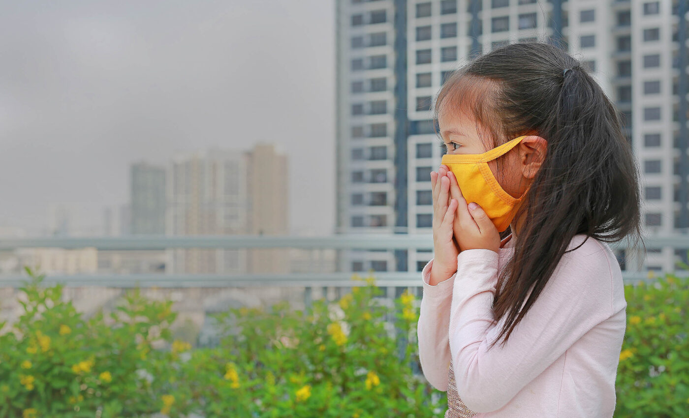 Air pollution profoundly impairs children's cognitive abilities