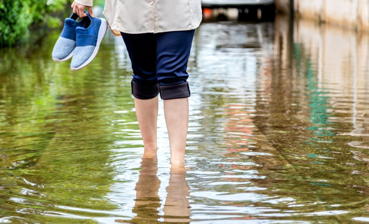Sunny day flooding increases fecal bacteria in coastal waters