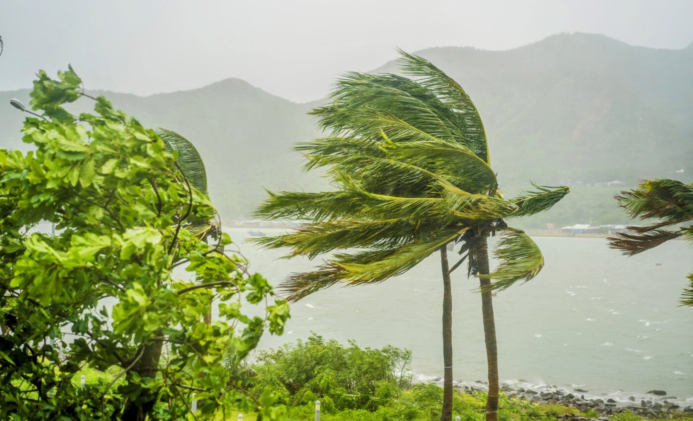 Monsoons launch ozone-depleting substances into the stratosphere