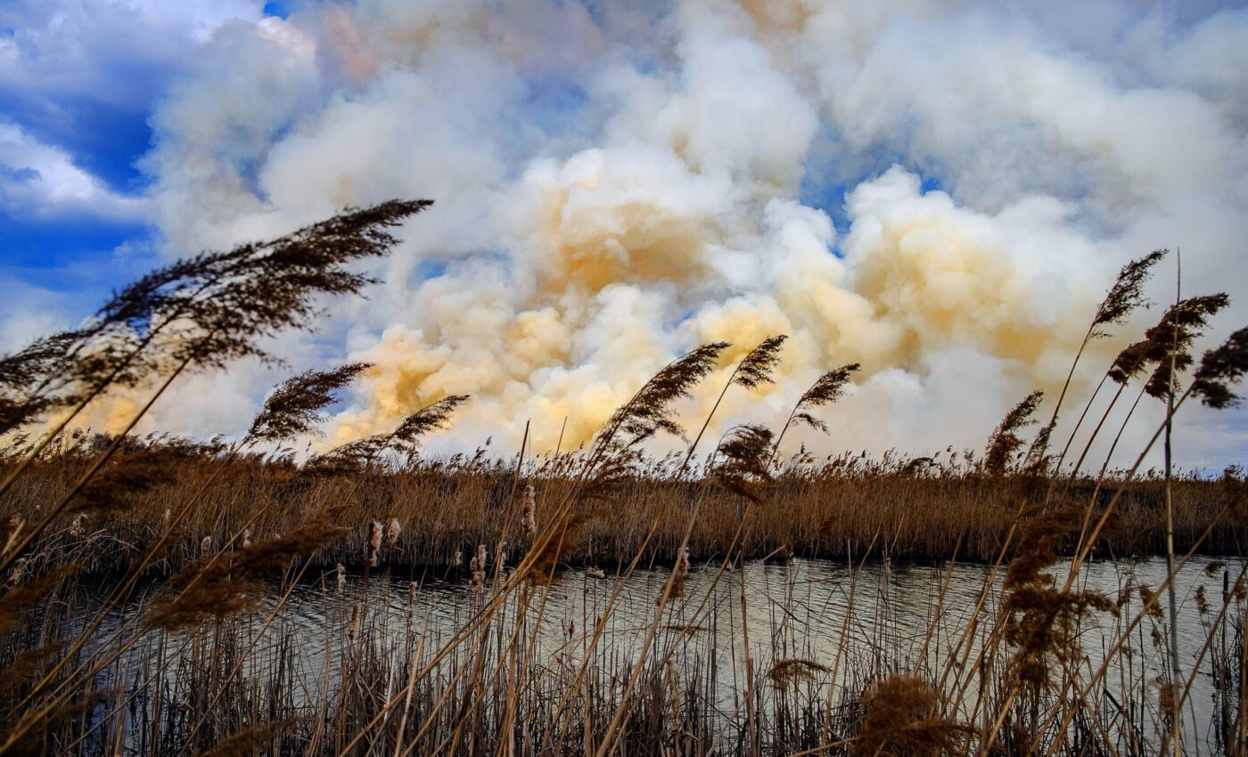 Wildfires in Siberia are a growing global threat