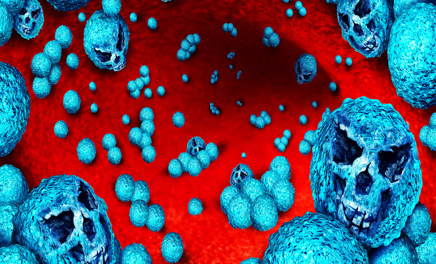 Climate change fuels the rise of global antimicrobial resistance