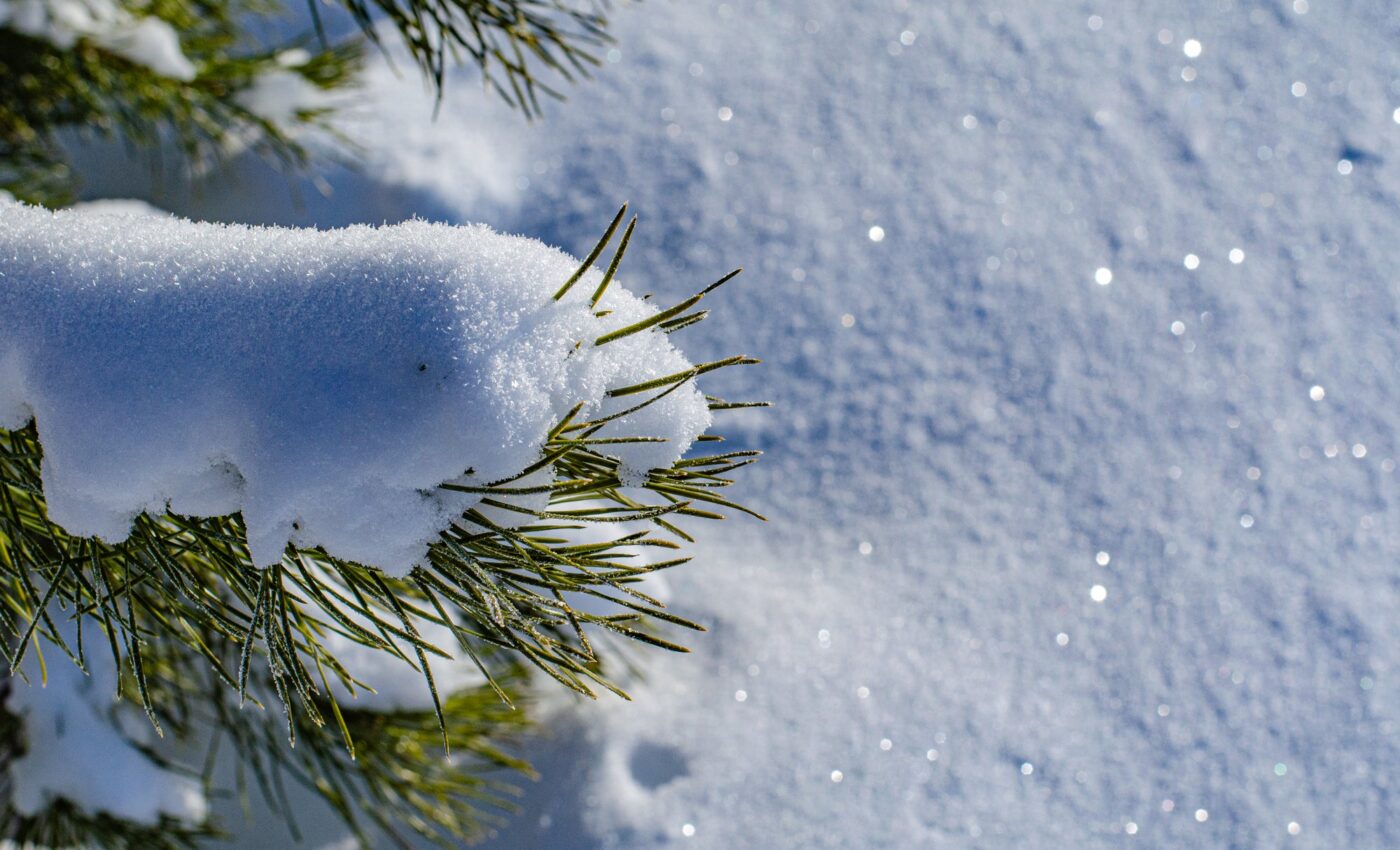 Secrets of snow complexity can improve winter safety