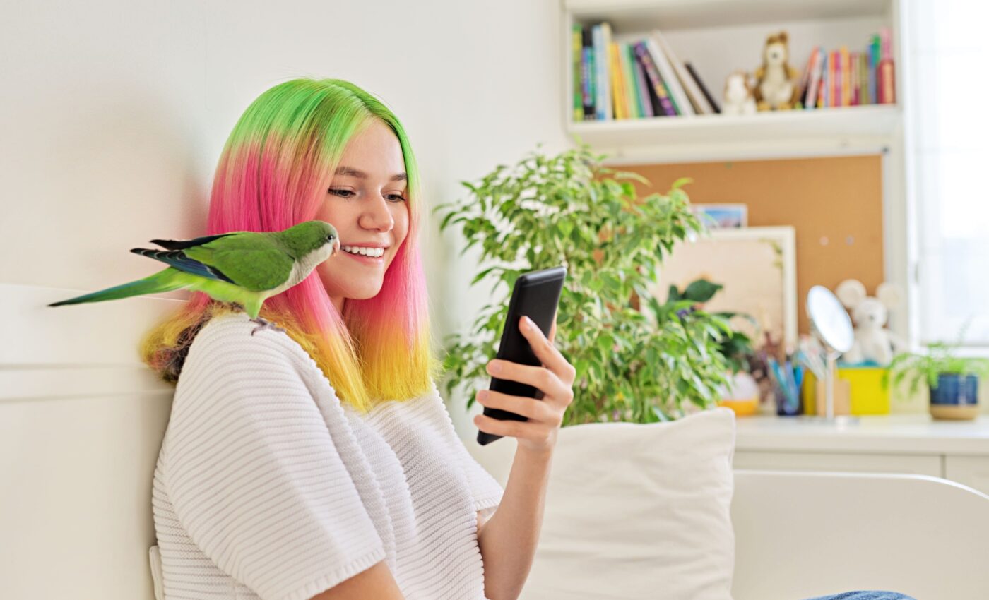 Parrots prefer talking live on video calls more than watching videos