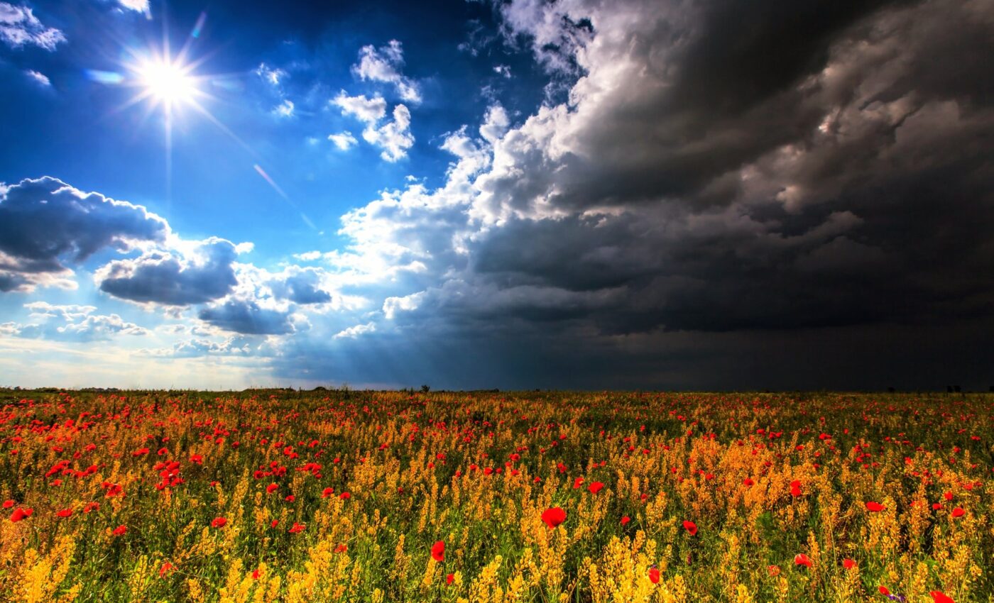 Compound weather extremes are now more frequent and severe