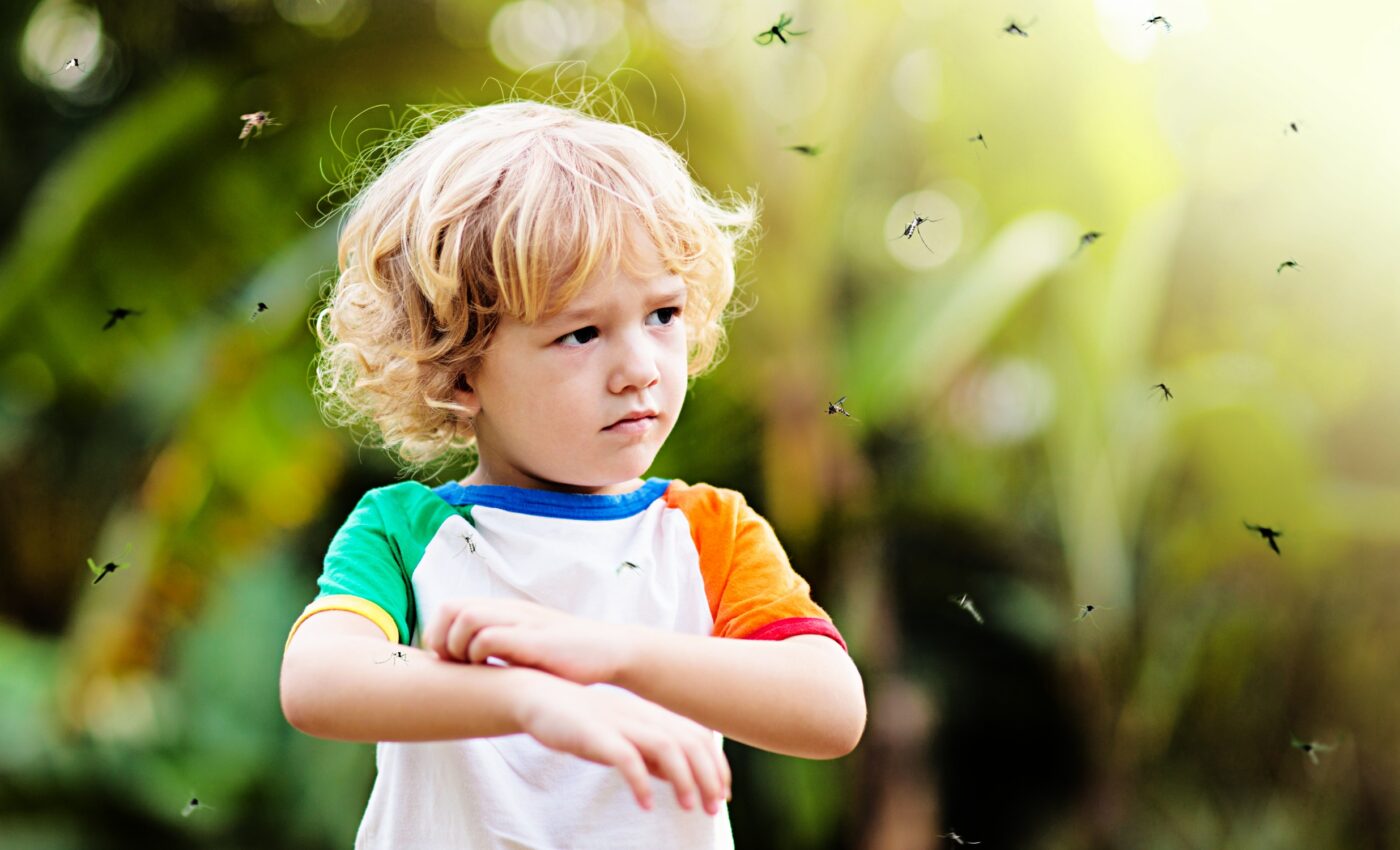 Mosquito habitats are expanding due to climate change