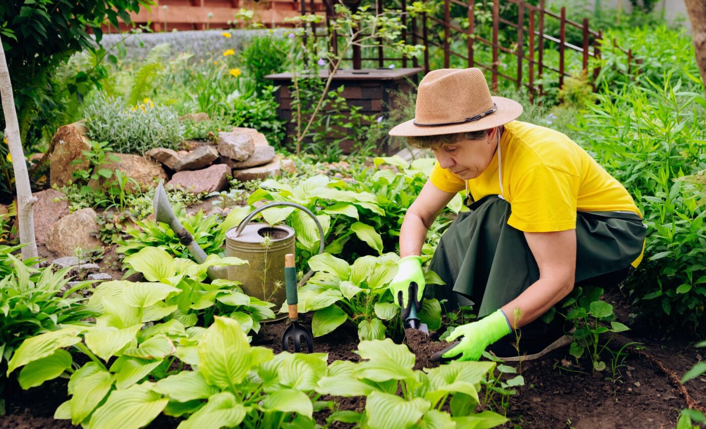 Gardening significantly improves sleep quality in adults