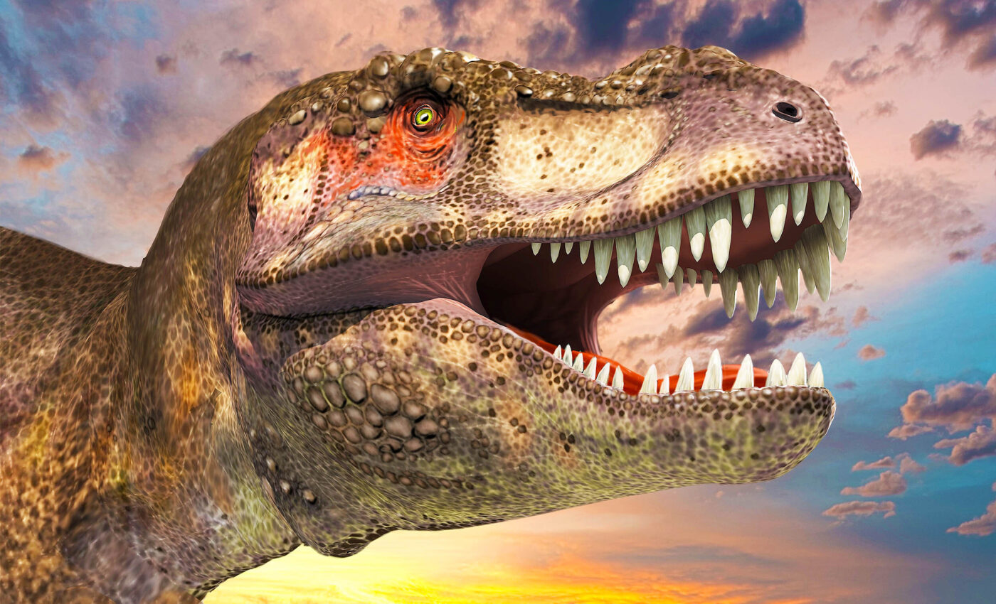 Some dinosaurs became warm-blooded to survive climate change