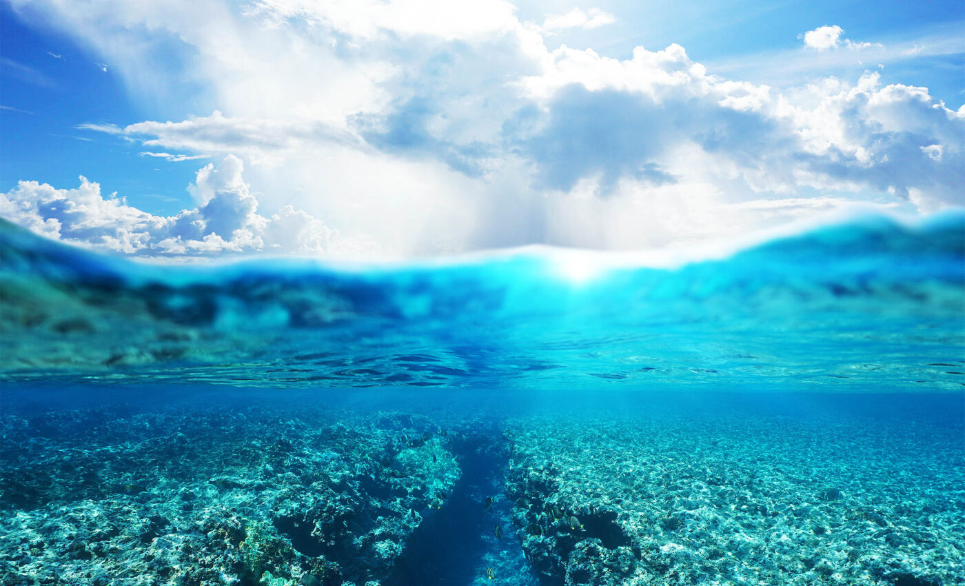 Deep-sea mining forms 'dust clouds' that devastate marine life