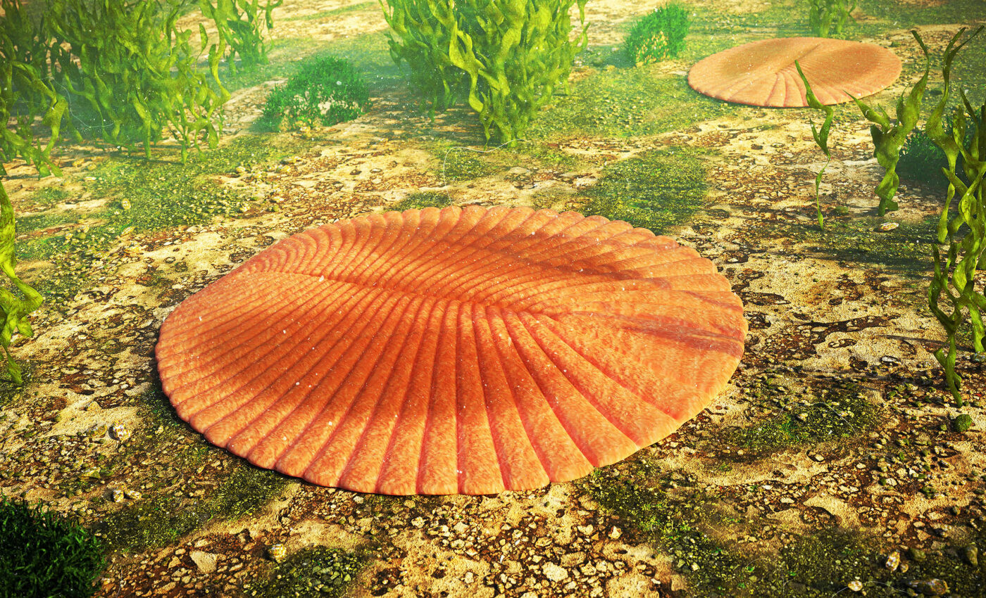 Behavior of sea creatures in Earth's first ecosystem drove animal evolution