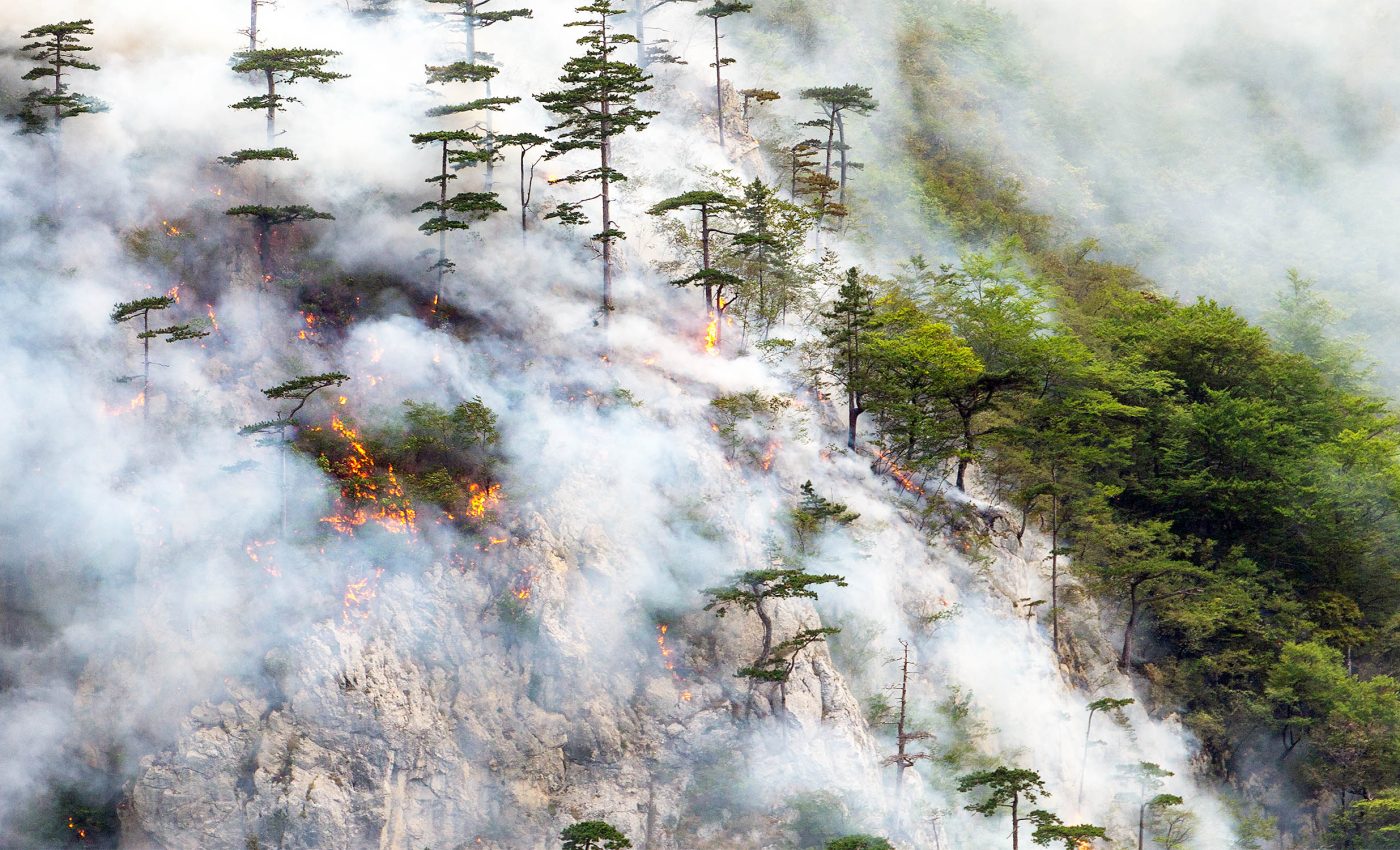 Reducing aerosol pollution causes more wildfires in an ironic twist of fate