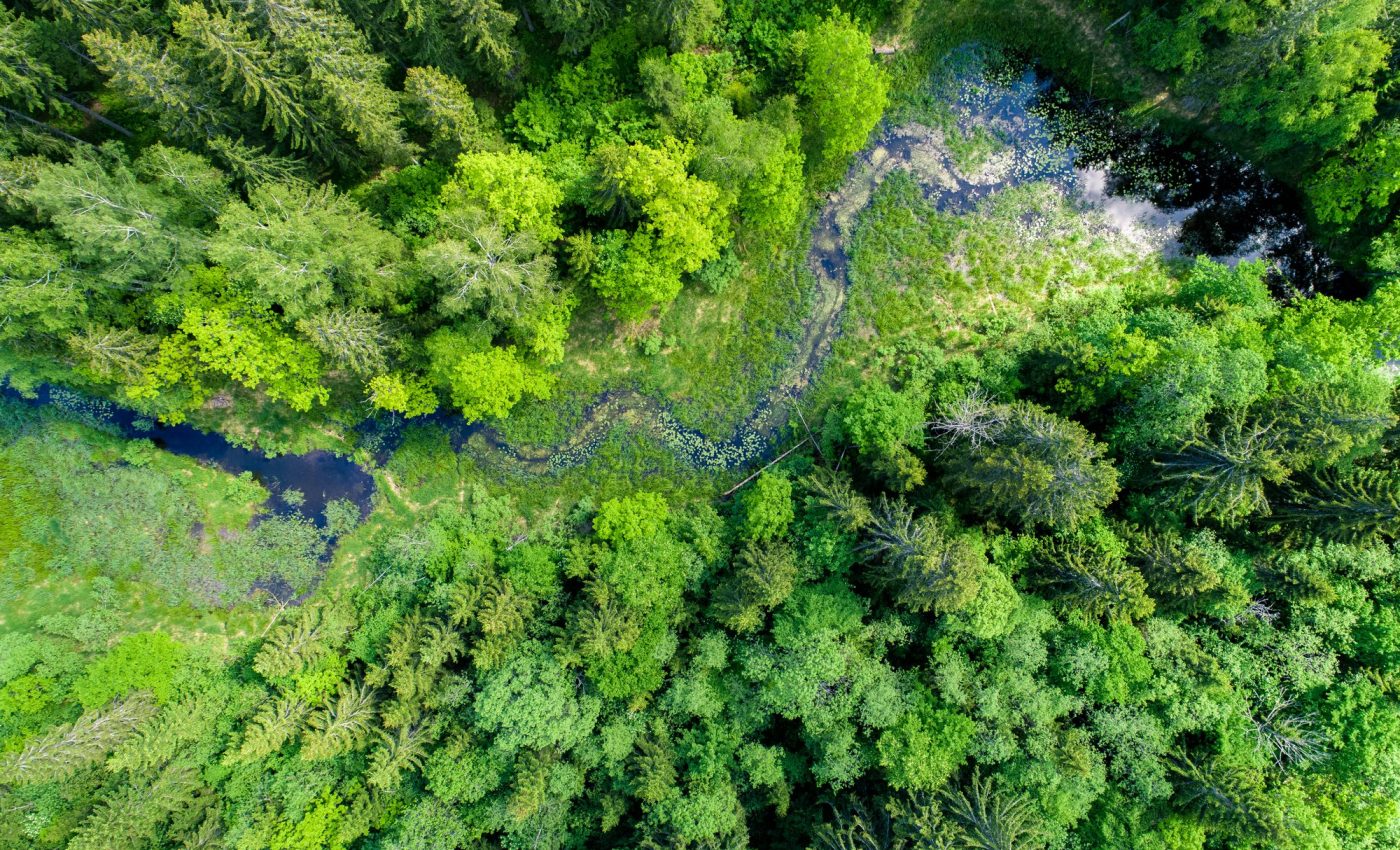 World Environment Day 2024: A call for land restoration