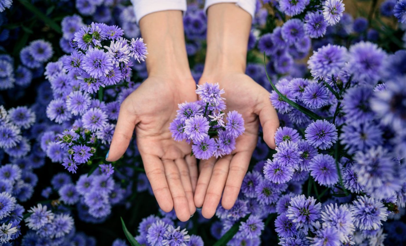 World Environment Day: The critical role of nature in human well-being