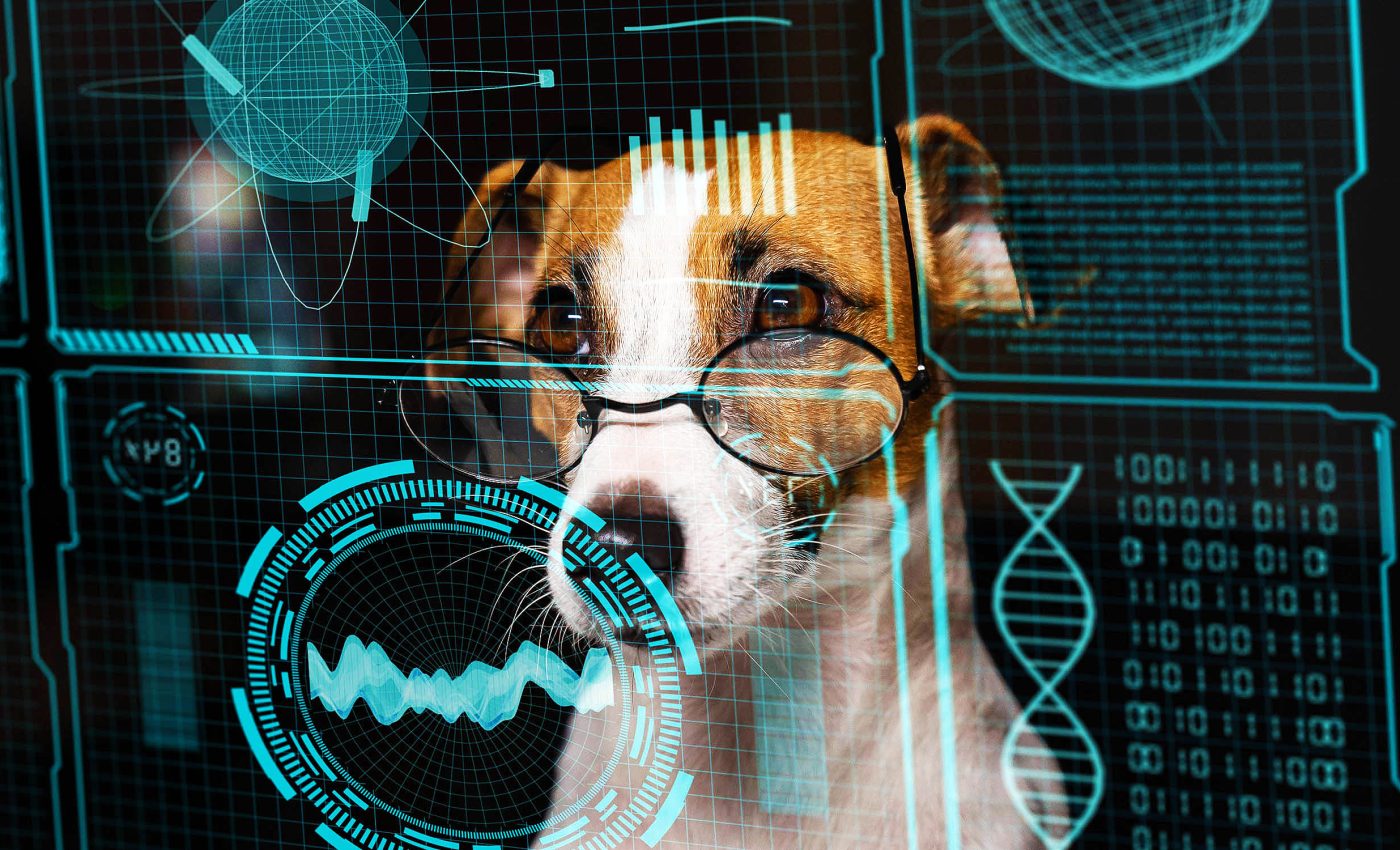 Dog barks can be translated using human speech patterns