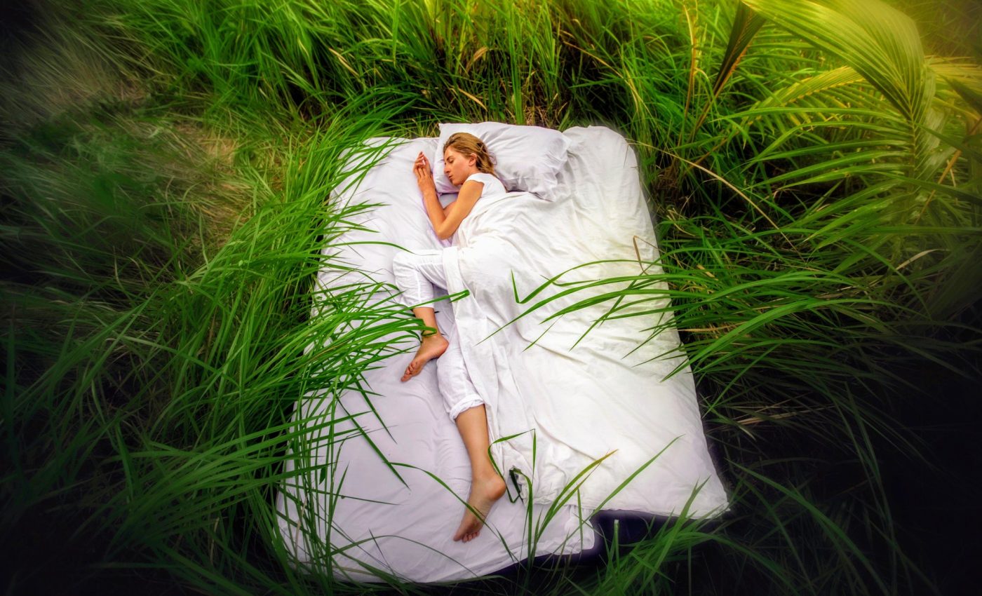 The sleeping brain may predict future experiences