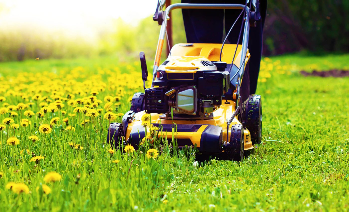 Mowing your yard too often may create unstoppable 'superweeds'