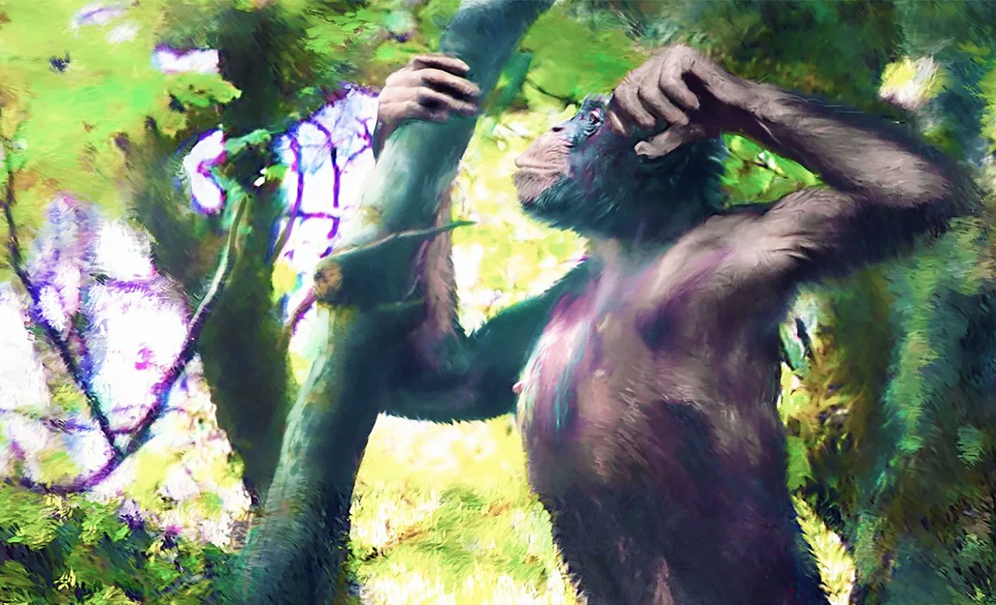 Tiny great ape species discovered that lived 11 million years ago