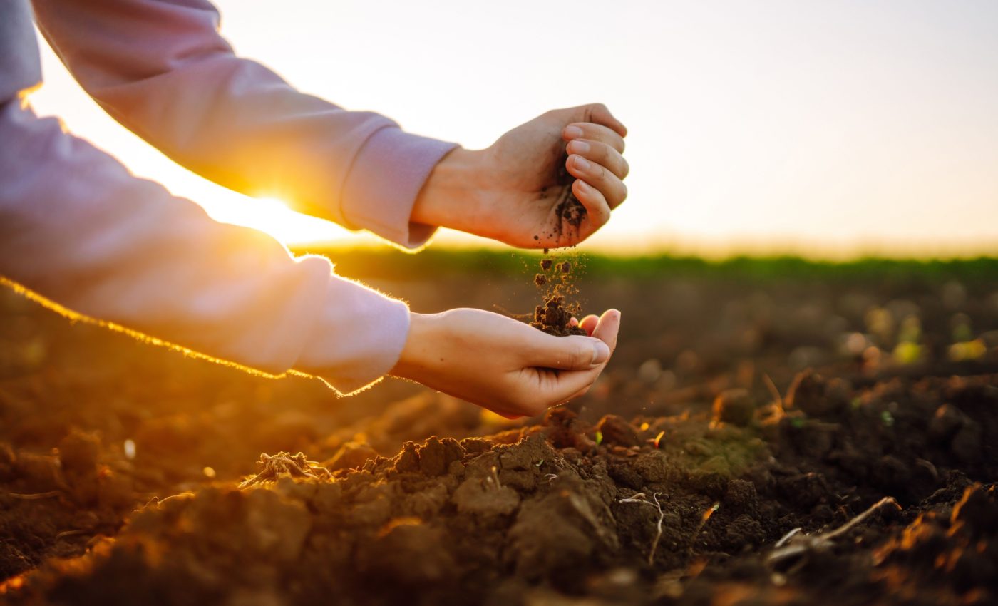 How soil bacteria contribute to atmospheric CO2