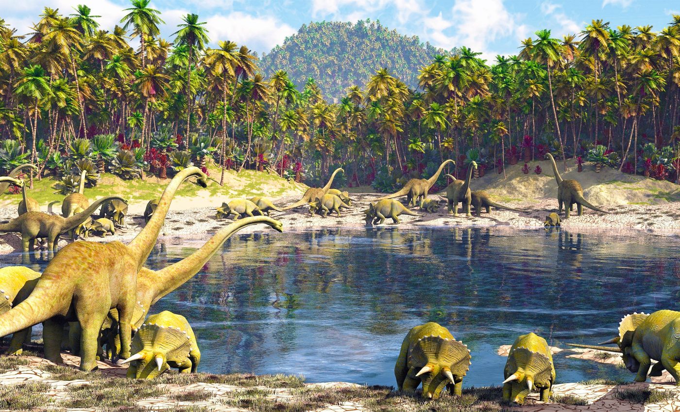 New dinosaur species is named Musankwa sanyatiensis