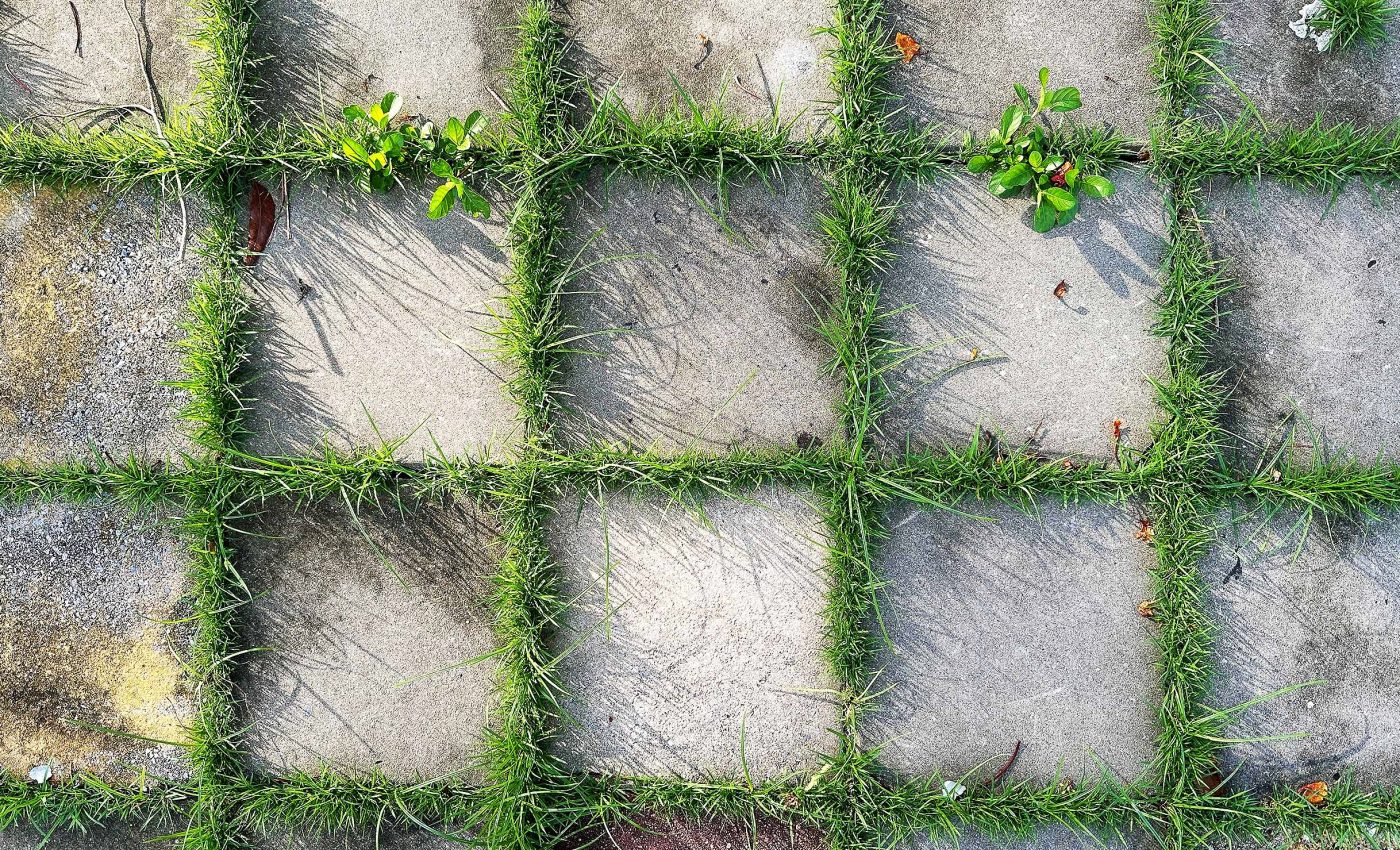 New crack-resistant cement material inspired by nature