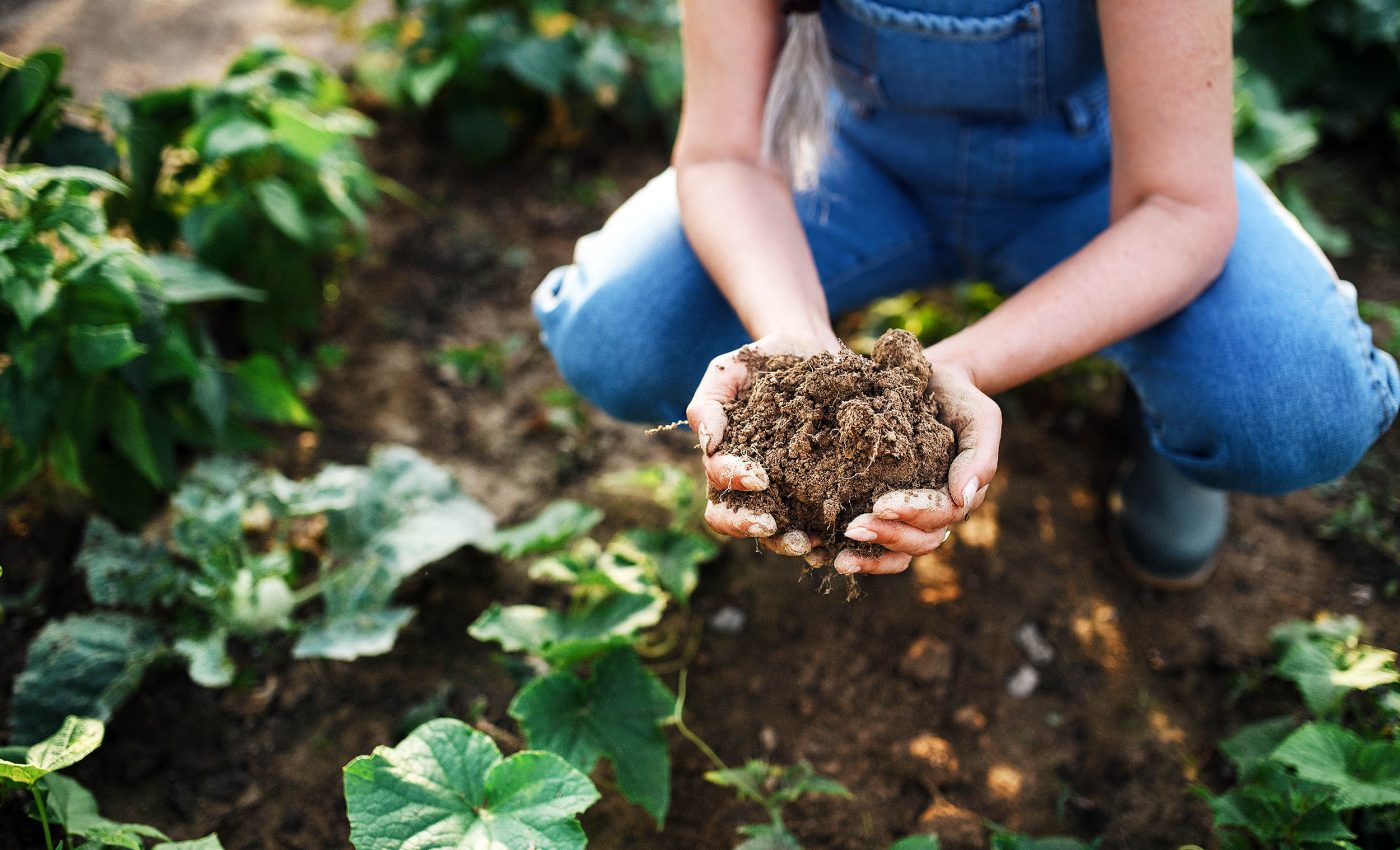 Farmers are adopting regenerative agriculture for better soil health
