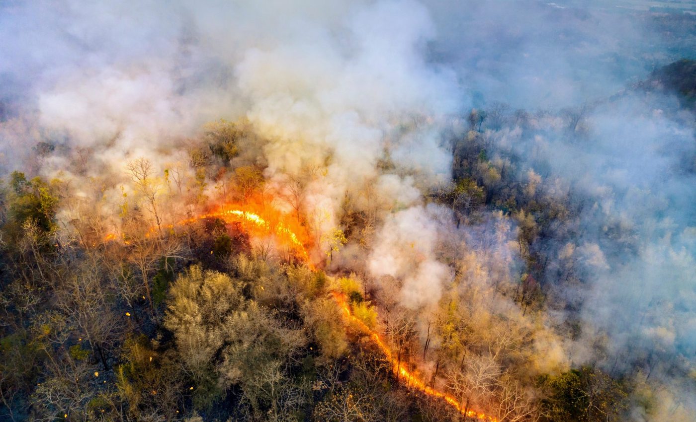 Wildfire smoke creates conditions that favor more fires