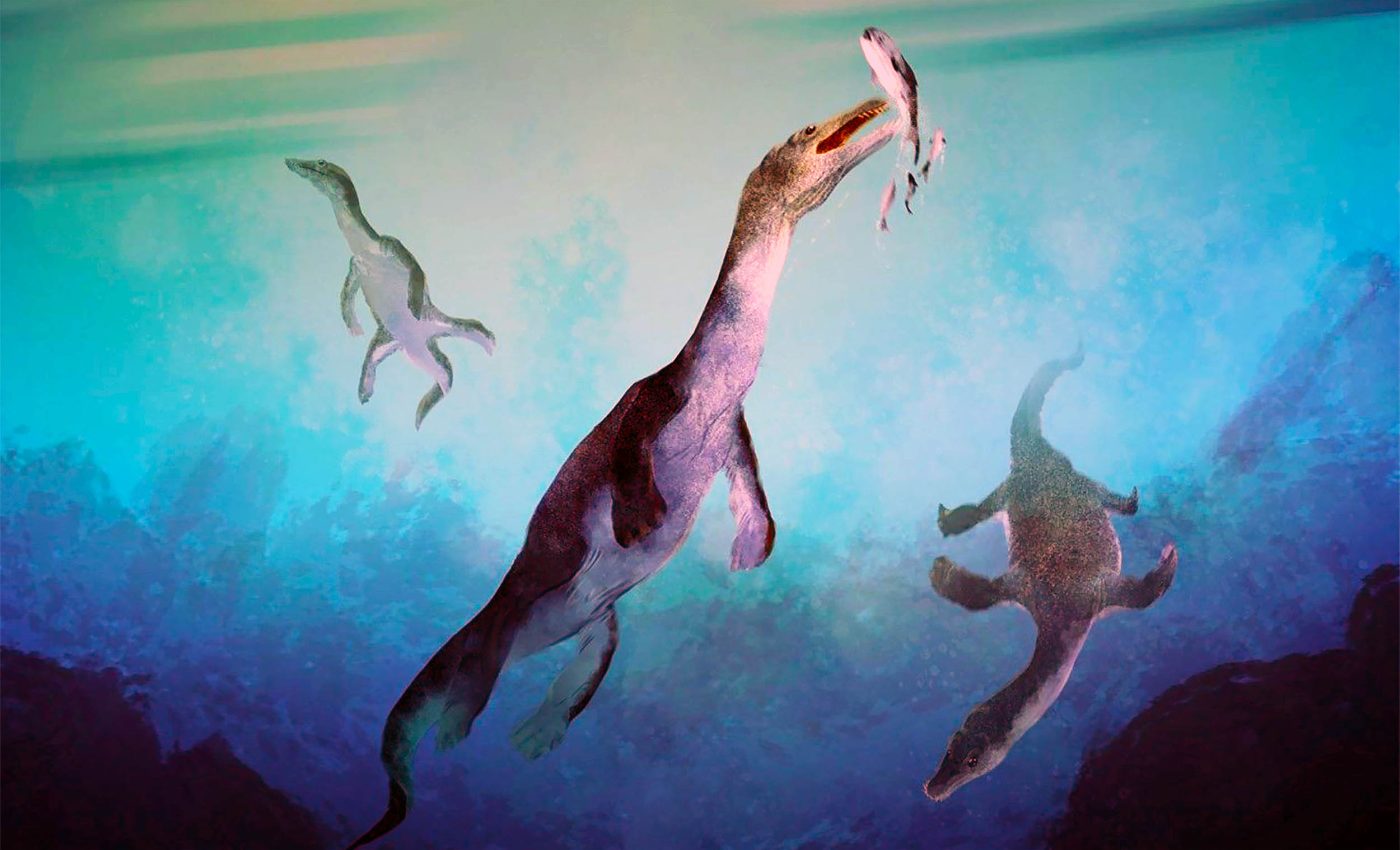 Polar sea reptile 'nothosaur' fossil is the oldest ever discovered