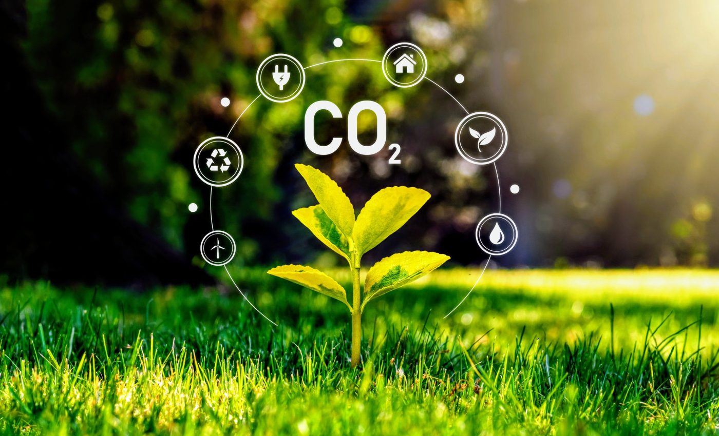 ‘Wonder material’ can extract value from captured carbon