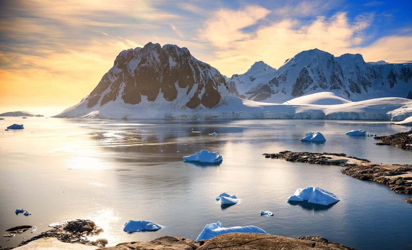 Zinc plays an overlooked role in ocean processes