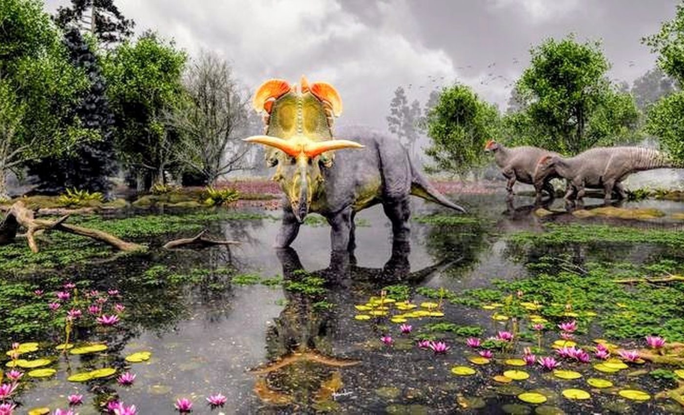 Dinosaur with huge, blade-like horns discovered in Montana