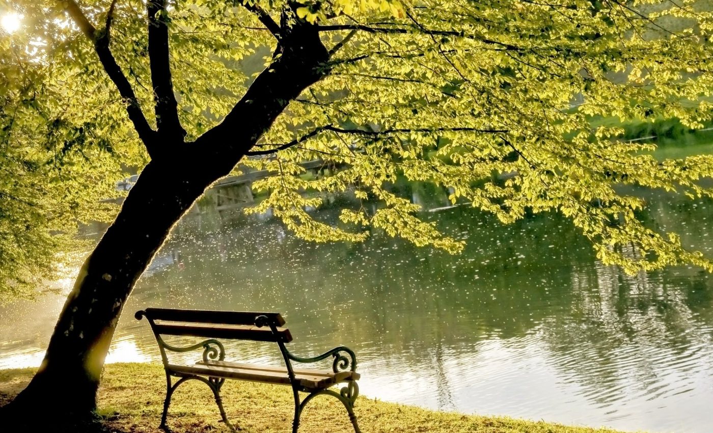 Green and blue spaces like parks and rivers keep hearts healthy