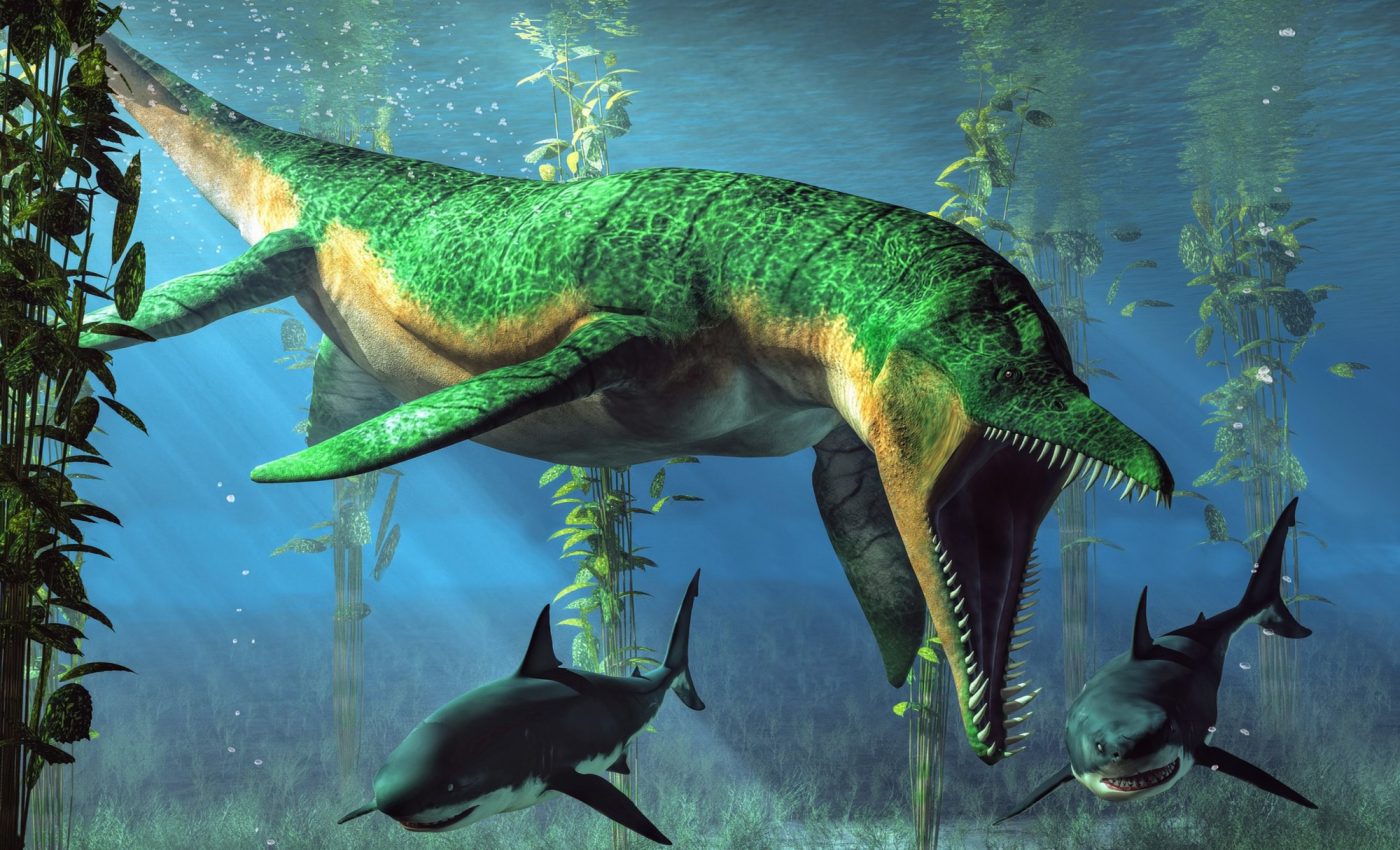 Jurassic extinction may hold clues about our oceans’ future