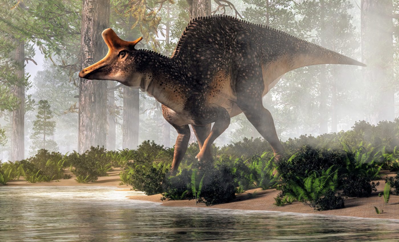 ‘Incredibly unusual’ dinosaur unearthed in Mississippi