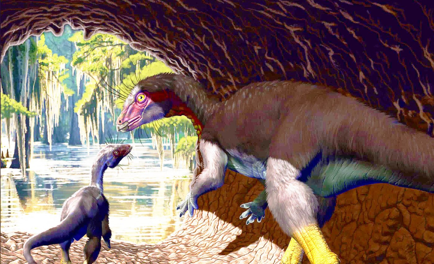 Some dinosaurs dug burrows and lived underground