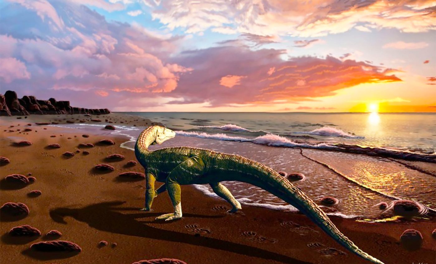 New Triassic crocodile species reveals ancient U.S. coastal life