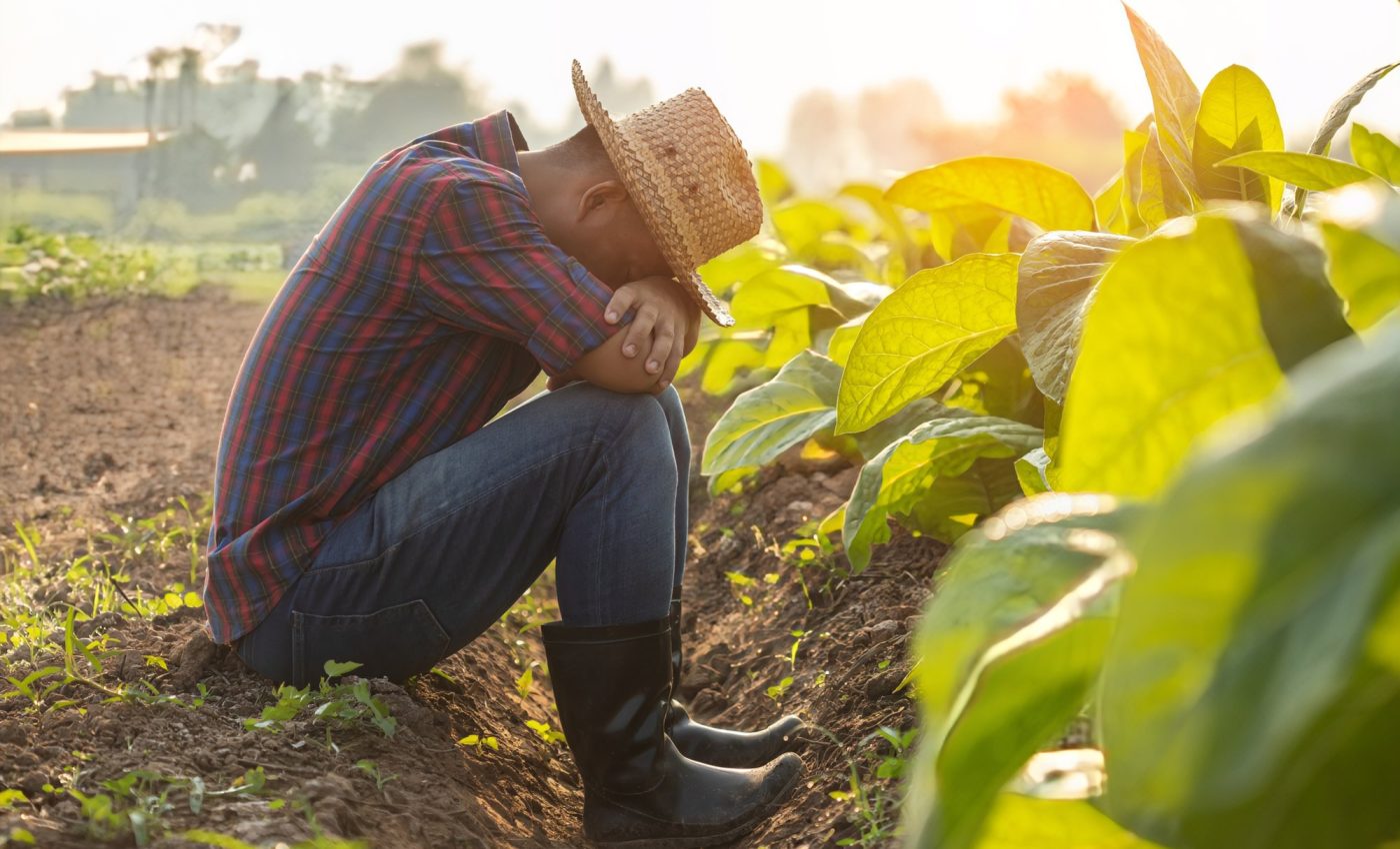 Stressed out farmers are turning to alcohol to cope