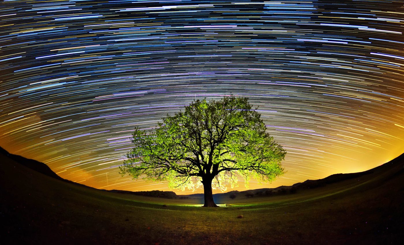 Wildly unexpected consequences of polar ice melt has scientists on edge