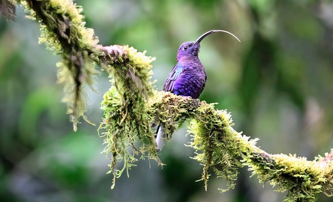 Tackling the dual crises of climate and nature