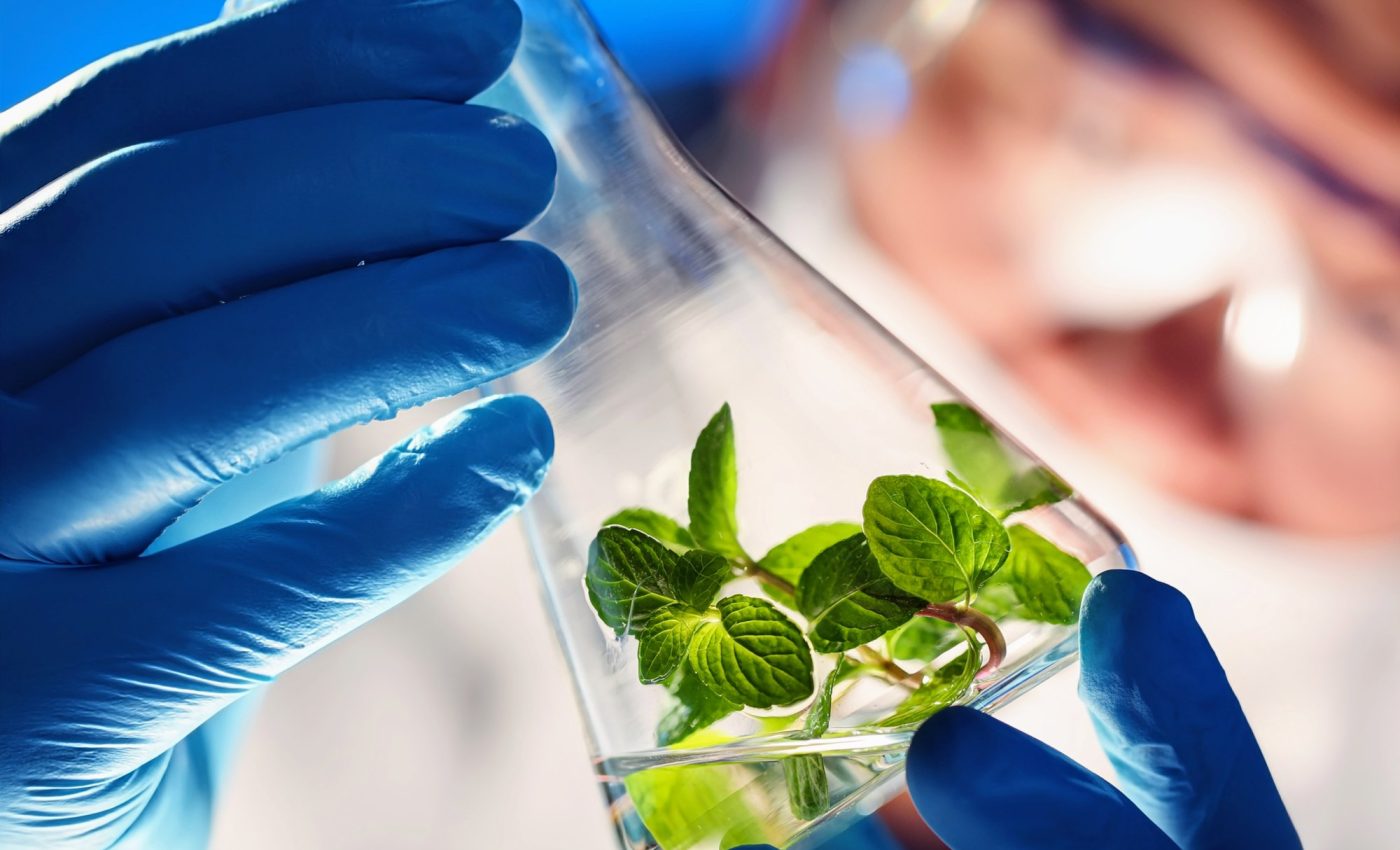 Liquid metals may create a greener future for chemical production