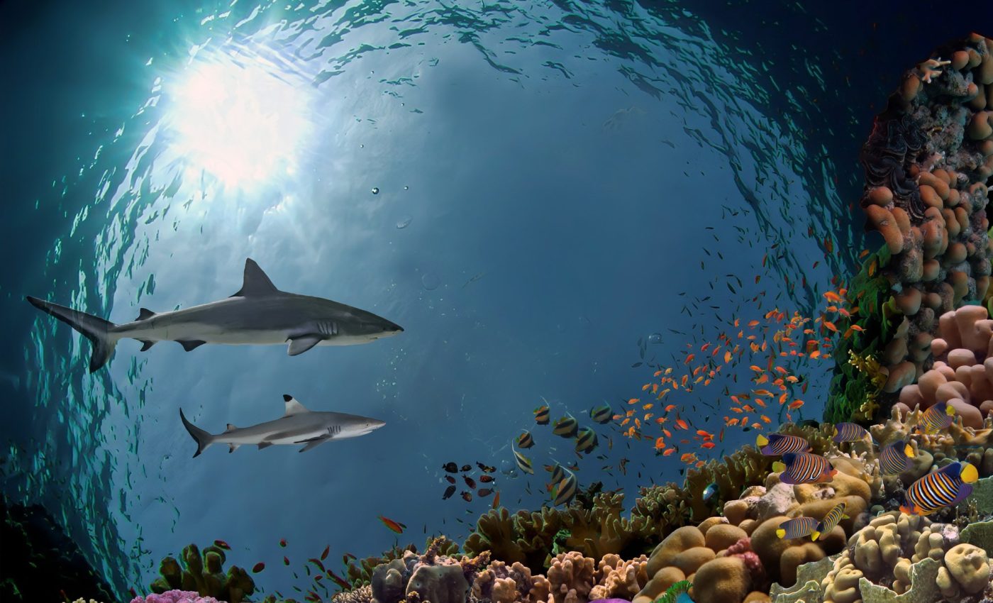 Weather in the deep sea is not as predictable as we thought