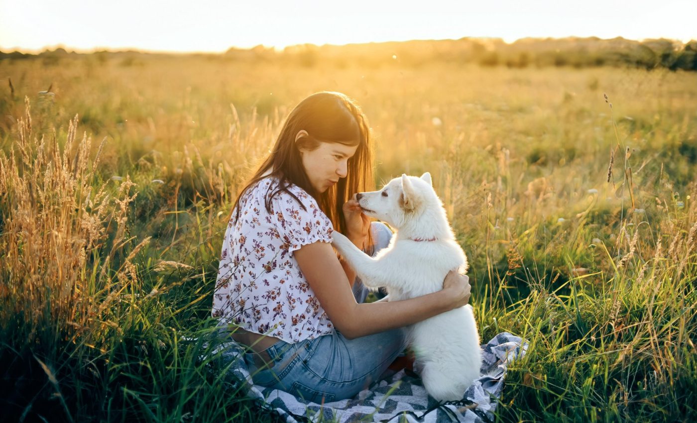Dogs’ shrinking brain size was partially caused by humans