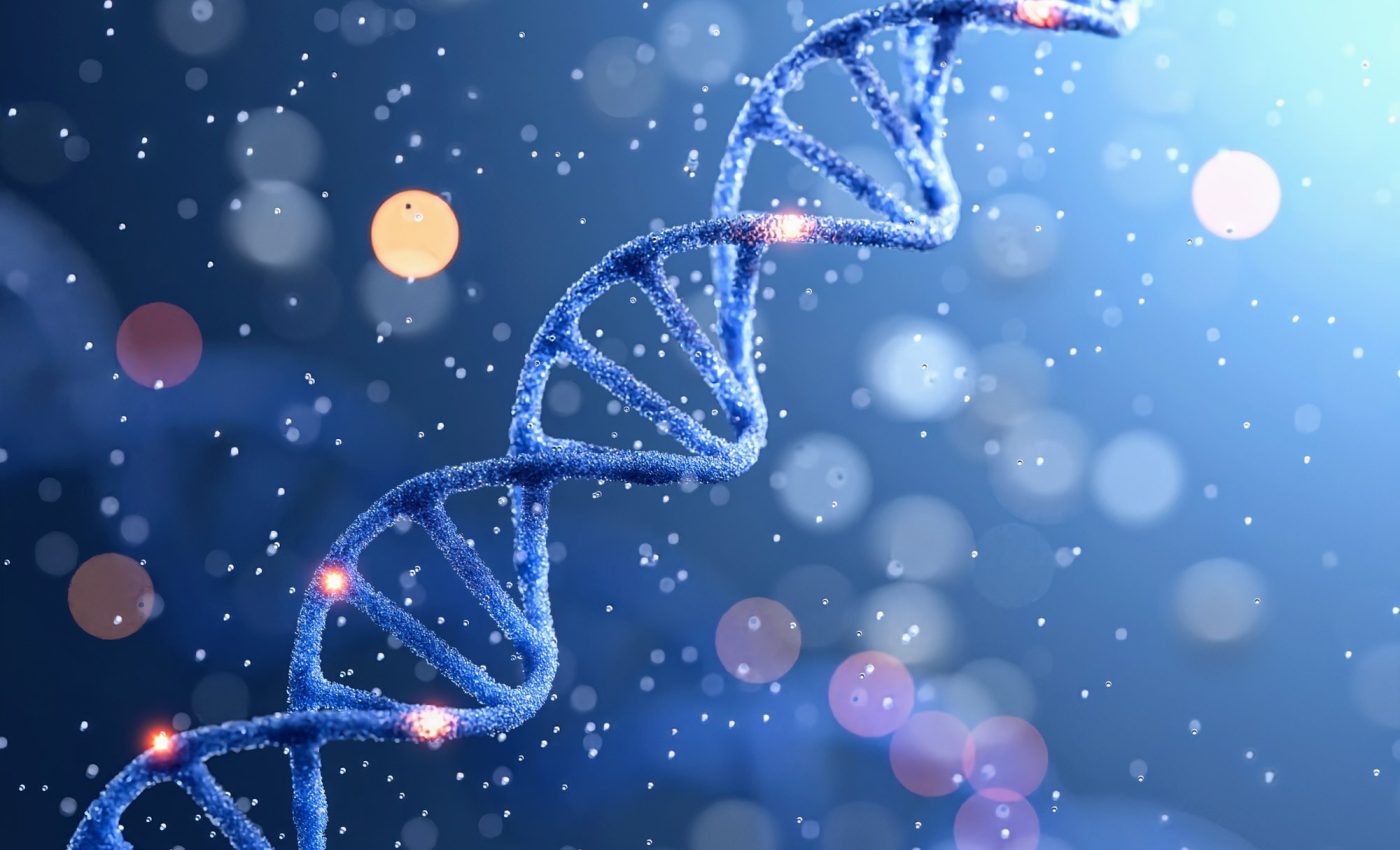 How do animals balance their sex chromosomes?