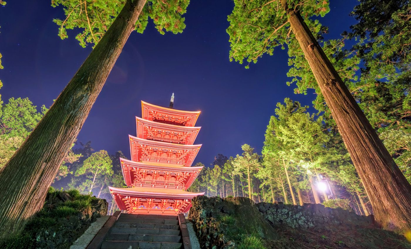 Streetlights make tree leaves too tough for insects to eat