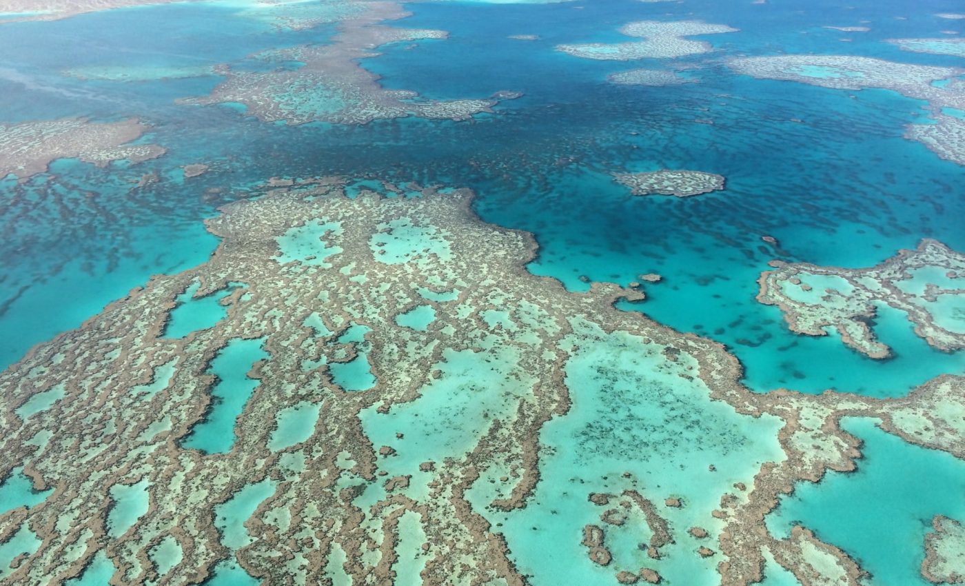 Great Barrier Reef is on the brink of extinction