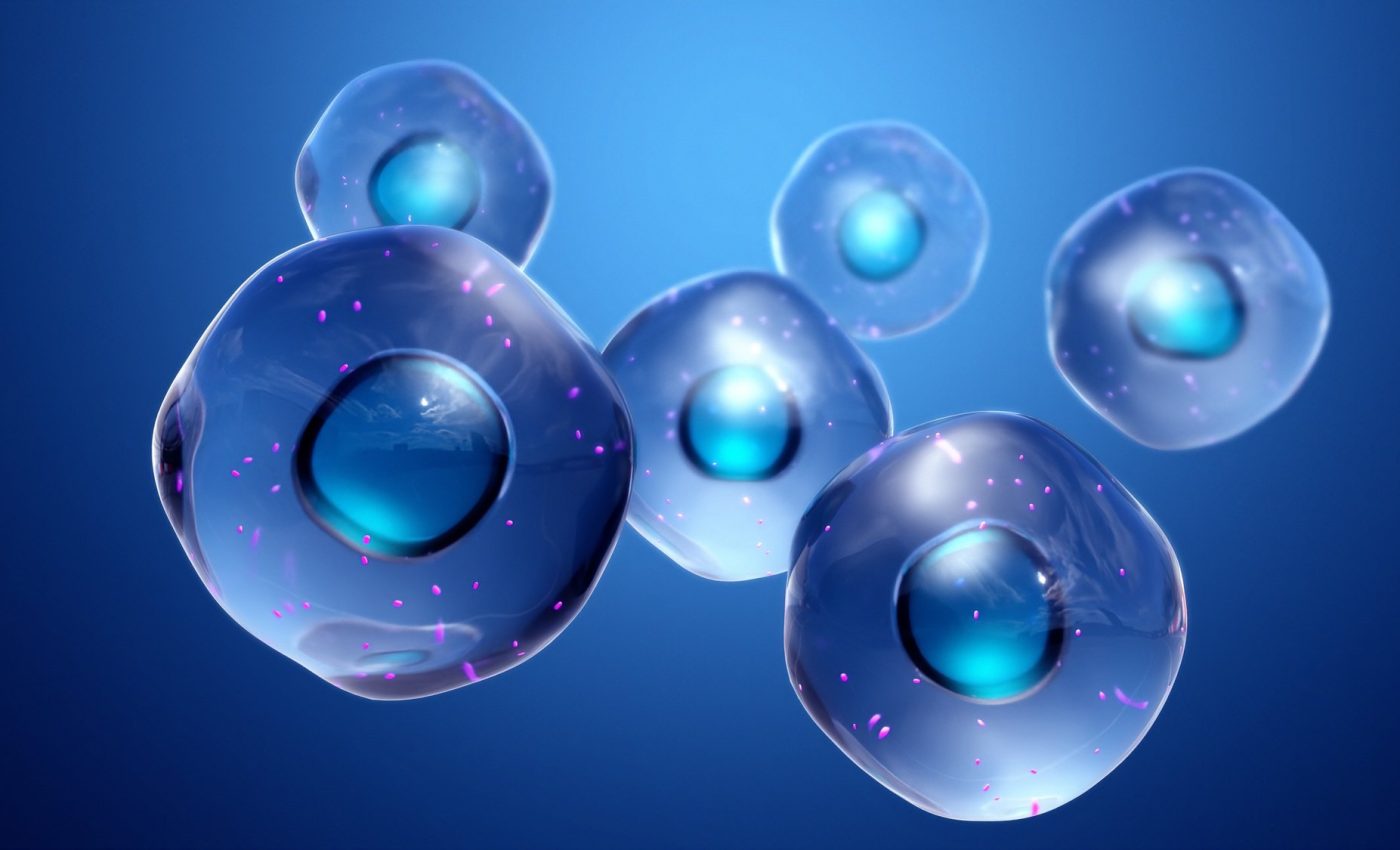 Intermittent fasting slows aging by boosting cell health