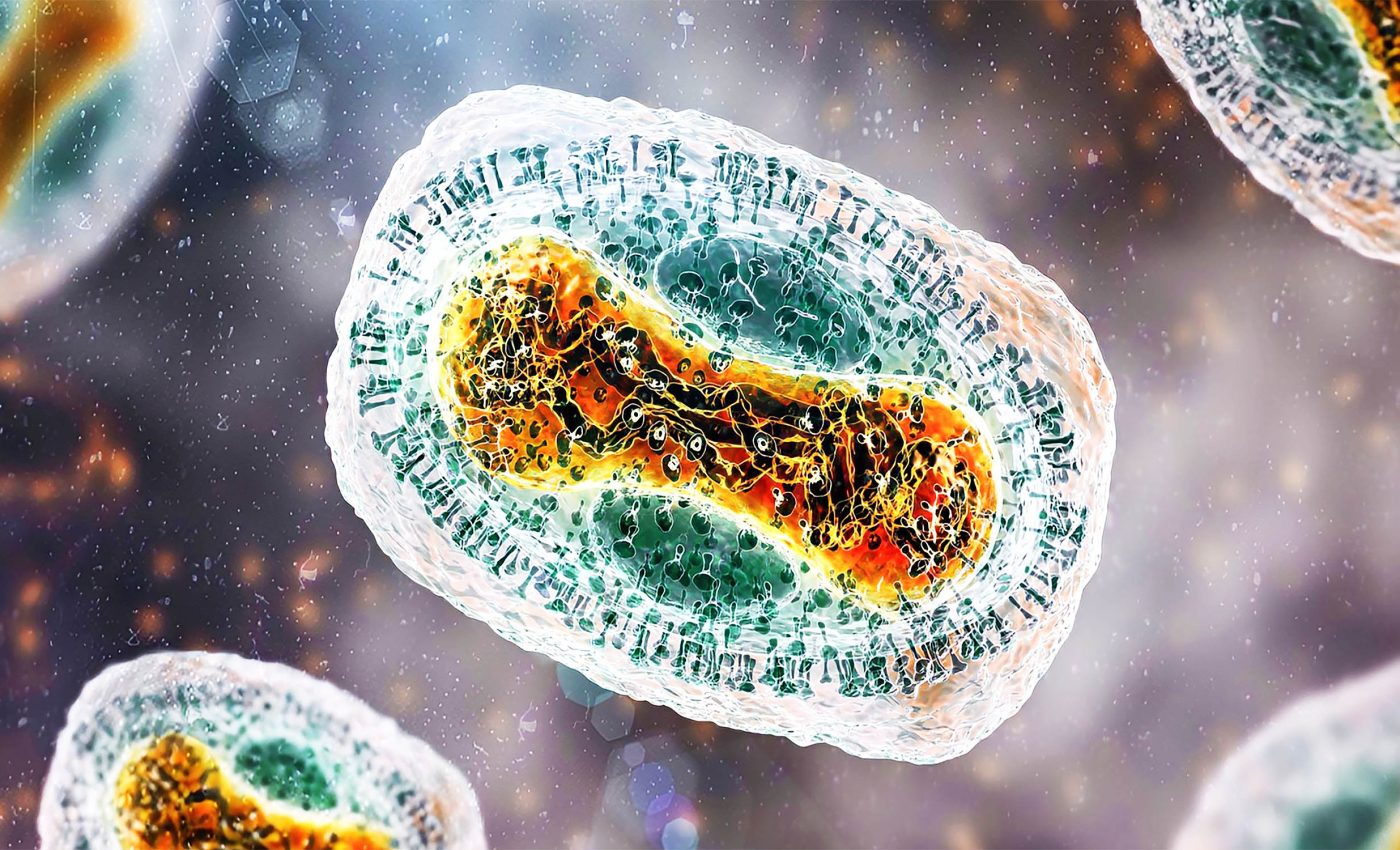 WHO Warning: Mpox cases are climbing rapidly with a much higher death rate