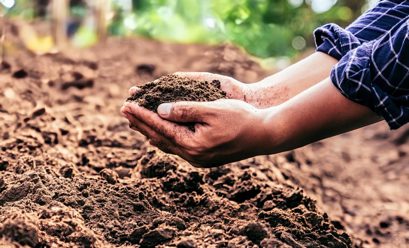 Healthy soils produce a symphony of sounds