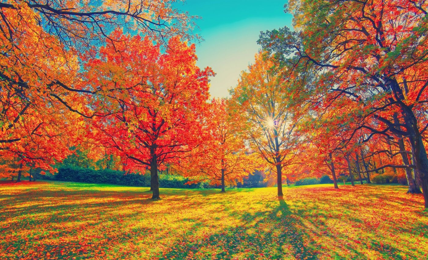 Fall will be unusually warm across most US states